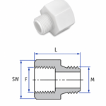 PVDF NPT Pipe Adaptor