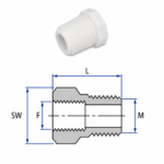 PVDF BSPT Pipe Bushing