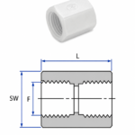 PVDF NPT Female Pipe Coupling